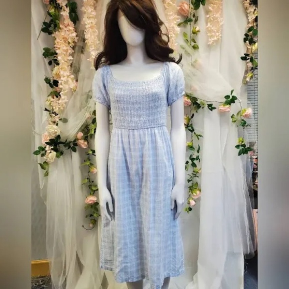 Pretty Dorthy-like dress!